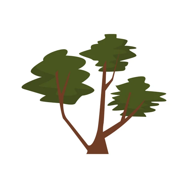 Träd växt natur isolerad ikon — Stock vektor