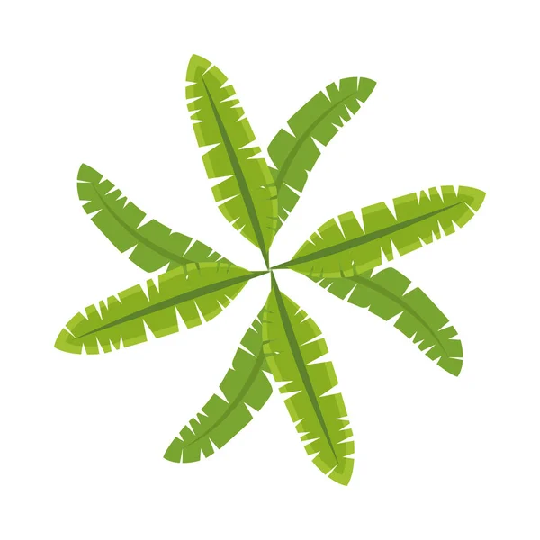 Φύλλα φοίνικα τροπικό φύλλωμα κυκλικό πλαίσιο — Διανυσματικό Αρχείο