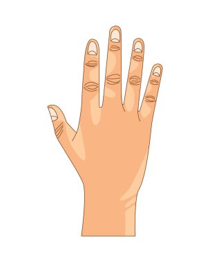 Avuç içi açık duruş izole edilmiş