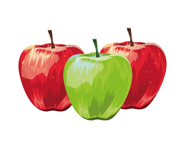 Äpfel frisches Obst isolierte Symbole — Stockvektor