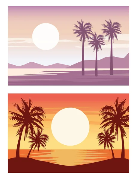 beautiful landscapes with beach and palms scenes