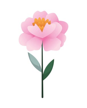 Yapraklı güzel gül çiçeği bahçe dekoratif ikonu