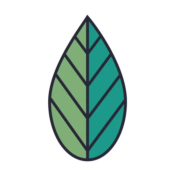 Ecología hoja planta naturaleza icono — Vector de stock