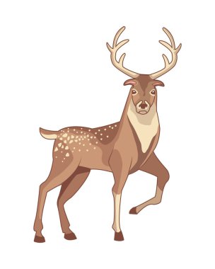 Boynuzlu ren geyiği.