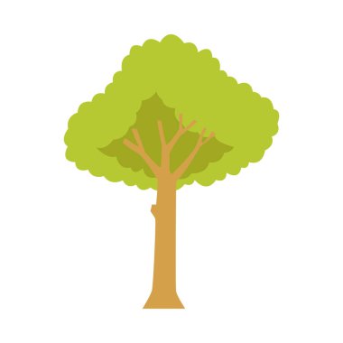Ağaç bitkisi doğa izole simgesi