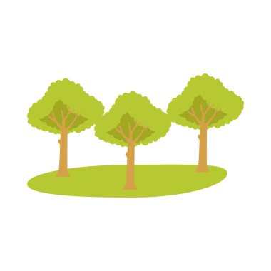 Ağaçlar orman bitkileri manzara