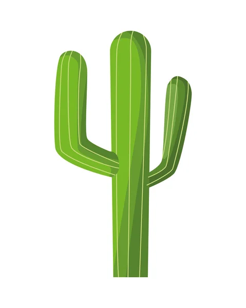 Icona isolata della pianta messicana del cactus — Vettoriale Stock