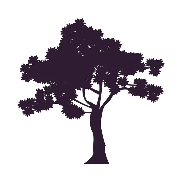 Árvore planta floresta silhueta ícone — Vetor de Stock