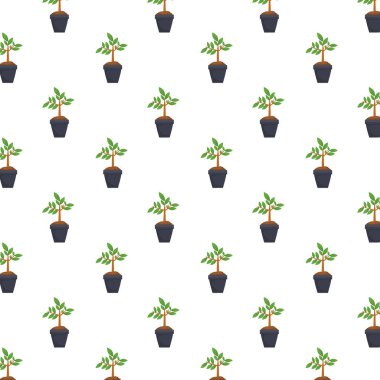 Saksıdaki ağaçlar doğa deseni.