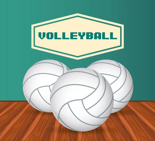 Voleibol deporte globos equipo icono — Vector de stock