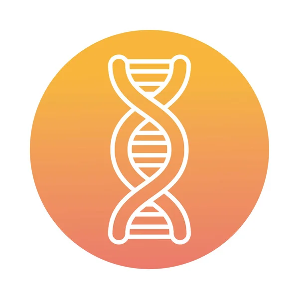 Dna molecule block style icon — Stock Vector