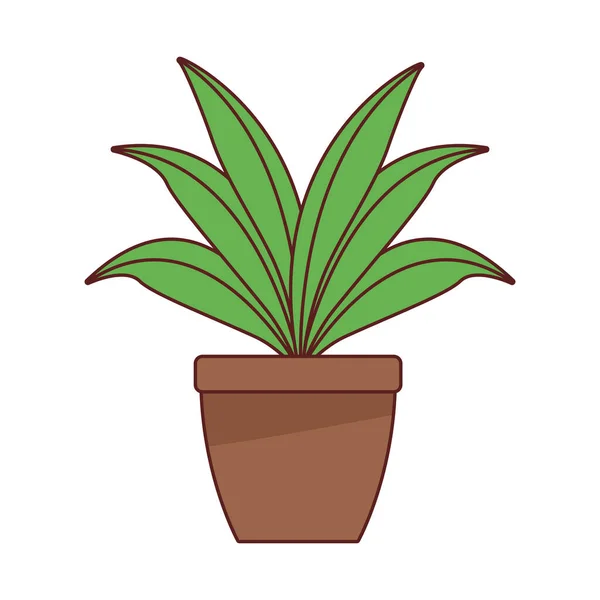 Houseplant home decoration isolated icon — Stock Vector