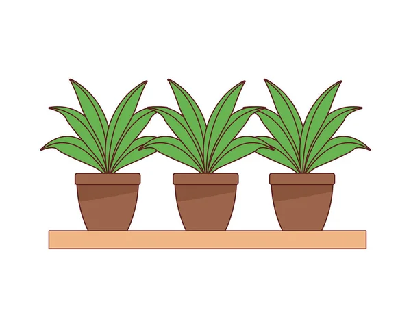 Estante de madera con decoración de plantas de interior — Vector de stock