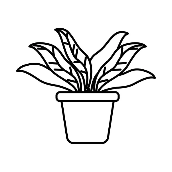 室内植物在锅隔离图标 — 图库矢量图片
