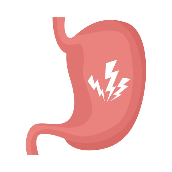 Estómago órgano humano aislado icono — Vector de stock