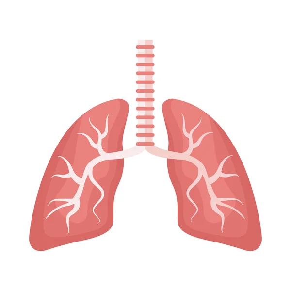 Organi polmonari icona anatomia umana — Vettoriale Stock