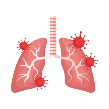 akciğer organları covid19 parçacıkları ile