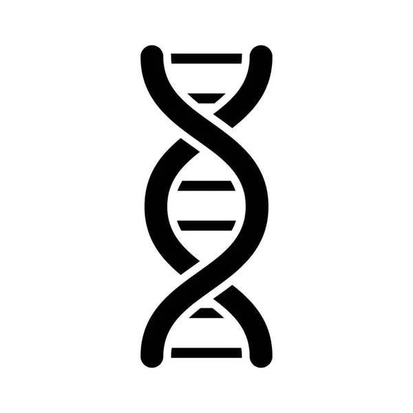DNA molekülü siluet biçimi simgesi — Stok Vektör