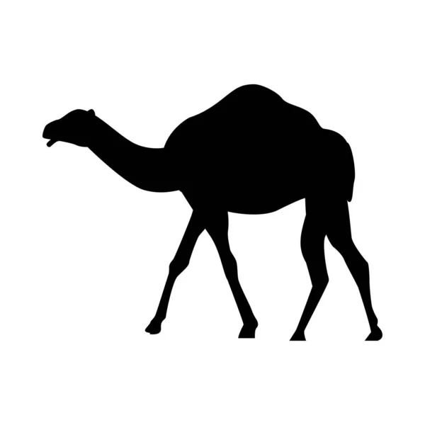 Kameldjur silhuett isolerad ikon — Stock vektor