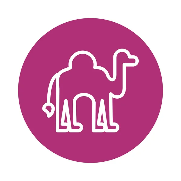 Camello animal aislado icono de estilo — Vector de stock