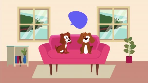Stay at home campaign with dogs in sofa — Stock Video