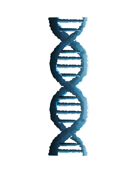 ADN molécula estructura genética icono — Vector de stock