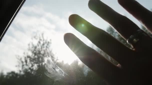 Крупный план руки с кольцами на окне автомобиля на ходу. Солнце светит сквозь пальцы и деревья. Пальцы на ладони. Медленно — стоковое видео