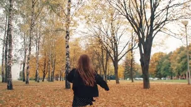 Vista posterior feliz linda niña con el pelo rizado corriendo a través del callejón de otoño en el parque lento mo — Vídeos de Stock