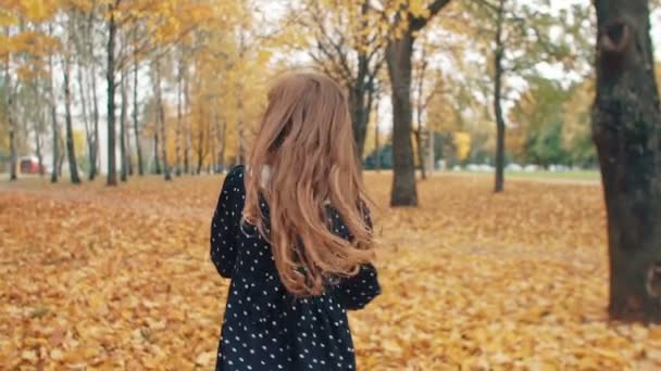 Vista posterior feliz linda niña con el pelo rizado corriendo a través del callejón de otoño en el parque lento mo — Vídeos de Stock