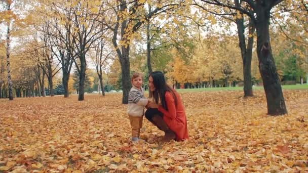 Bonito menino posando, fazendo caras engraçadas, sério, machucar, diversão, de pé com sua mãe no parque de outono slow mo — Vídeo de Stock