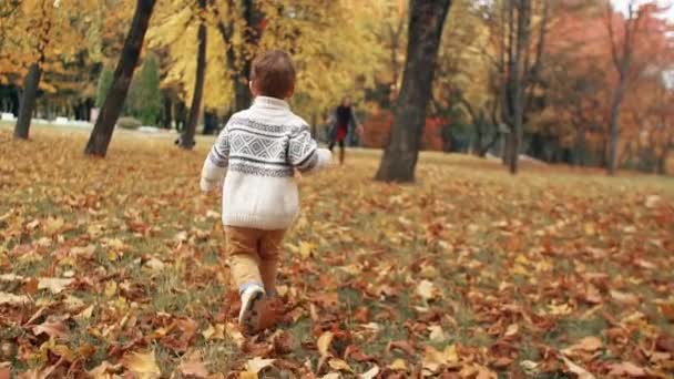 Mutlu sevimli küçük çocuk parkta yavaş hareket inanılmaz sonbahar sokak boyunca annesine çalışır — Stok video