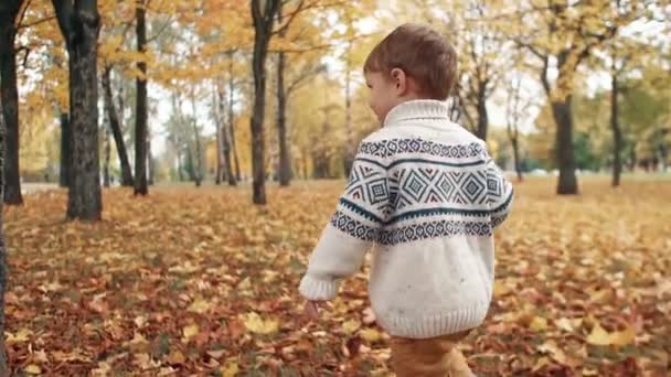 Милий щасливий усміхнений маленький хлопчик бігає, грає, розважається і позує в дивовижній осінній алеї в парку повільний рух — стокове відео