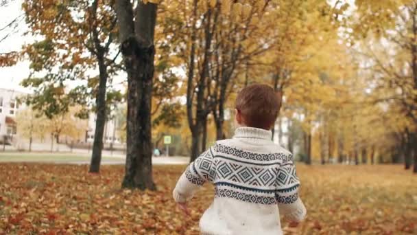 Χαριτωμένο αγοράκι που τρέχει μέσα από το υπέροχο φθινοπωρινό δρομάκι στο πάρκο αργή mo — Αρχείο Βίντεο