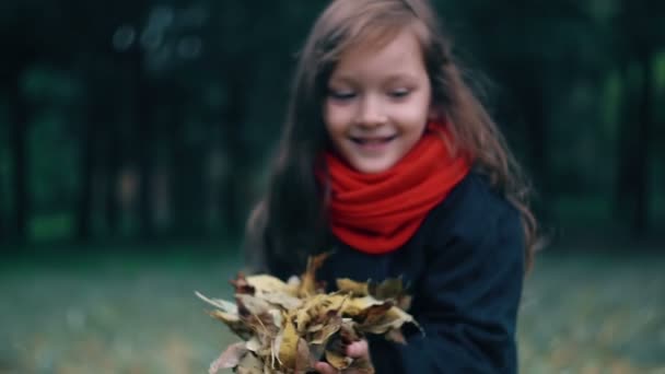 Vértes egy szép aranyos kislány gyűjt sárga őszi levelek és dobja fel őket — Stock videók