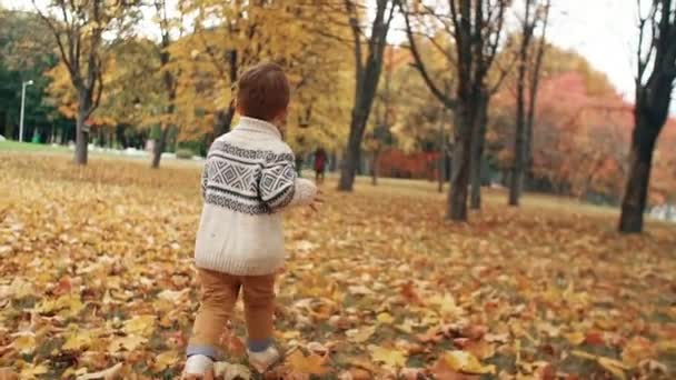 Schattige kleine jongen die door de verbazingwekkende herfst steeg in het Park — Stockvideo