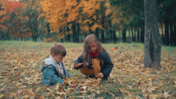 Милый младший брат и сестра играют в осеннем парке, девушка бросает на мальчика желтые опавшие листья 4k — стоковое видео