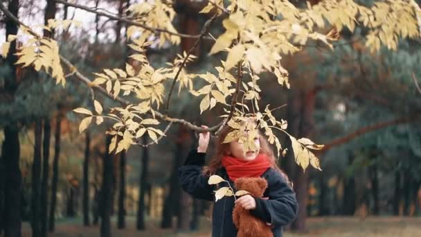 Linda, riendo, divertida niña alegre con oso de peluche sacude rama de un árbol y hojas de otoño amarillo caen de ella — Vídeos de Stock