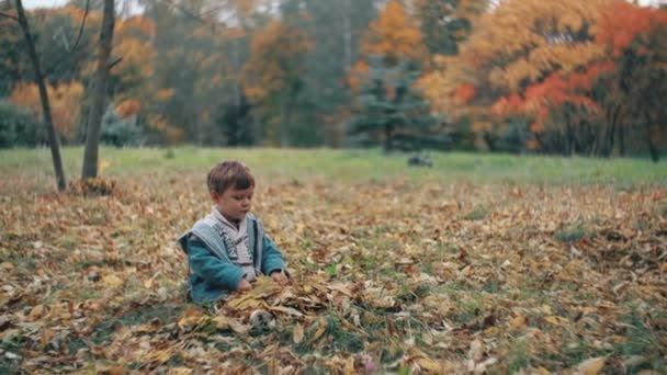 Lindo niño jugando en el parque de otoño, se sienta en la hierba arroja hojas amarillas caídas 4k — Vídeos de Stock