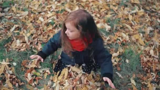 Punct de vedere drăguț fetiță joc în parcul de toamnă, stă pe iarbă aruncă în sus frunze galbene căzute 4k — Videoclip de stoc