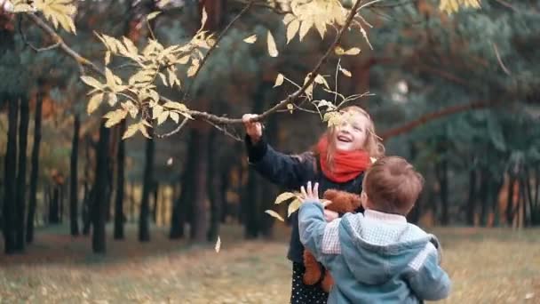 Engraçada menina treme ramo de árvore e folhas de outono amarelas cair a partir dele seu irmão mais novo tenta fazer como ela — Vídeo de Stock