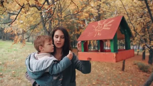 Junge Mutter hält ihren niedlichen kleinen Sohn, der Junge legt Futter in die Vogelfutterstelle in einem wunderschönen Herbstpark 4k — Stockvideo