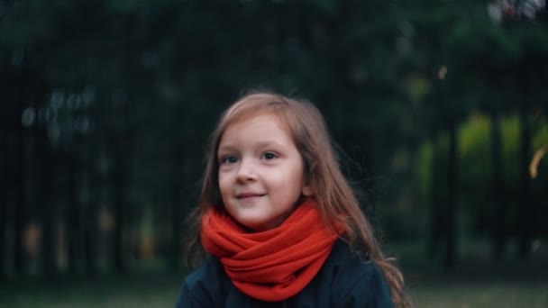 Funny, cheerful cute little girl close-up collects yellow autumn leaves in park slow motion — Stock Video