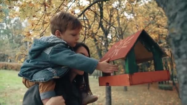 Joven madre sostiene sobre los hombros un lindo niño pequeño, el niño pone comida en el comedero de aves en un increíble parque de otoño 4k — Vídeo de stock