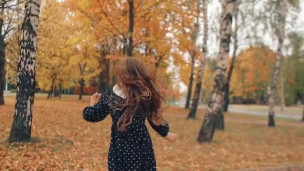 Atrás ver linda niña con el pelo rizado, en vestido con lunares corriendo por el callejón de otoño en el parque lento mo — Vídeos de Stock