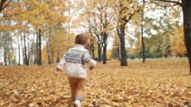 park yavaş mo inanılmaz sonbahar sokak boyunca düşmüş yaprakları üzerinde çalışan mutlu komik sevimli küçük çocuk