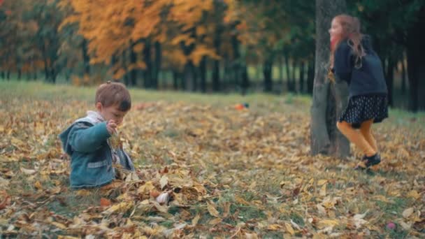 Schattige kleine broer en zus spelen in de herfst Park, meisje gooit op jongen geel gevallen verlaat 4k — Stockvideo