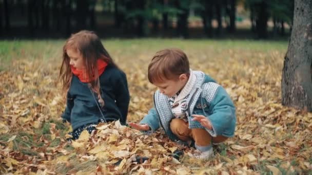 Sevimli küçük erkek ve kız kardeşi sonbahar parkta oynarken, erkek kız sarı düşmüş yaprakları 4k atar — Stok video