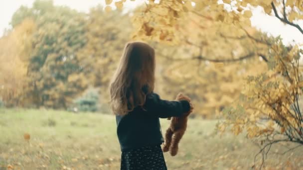 Rolig, glad söt liten flicka spinning med sin leksak, nallebjörn gul i den fantastiska höst parken slow motion — Stockvideo