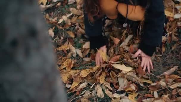 drôle, gai mignon petite fille gros plan recueille jaune feuilles d'automne dans le parc au ralenti 