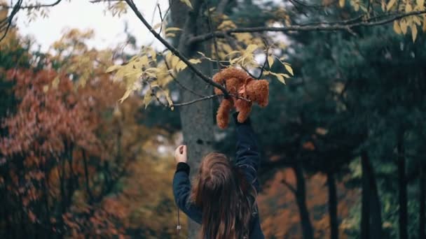 Divertida, alegre linda niña jugando con su osito de peluche en el increíble parque de otoño cámara lenta — Vídeos de Stock